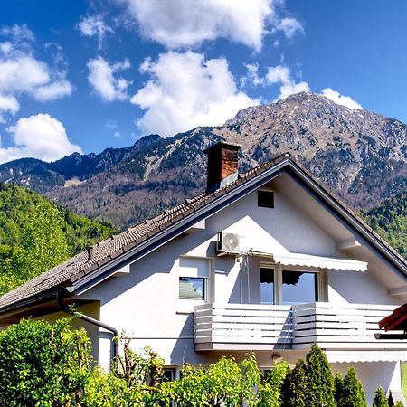 Apartma Storzic Preddvor Exterior foto